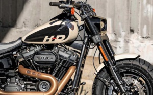 FAT BOB